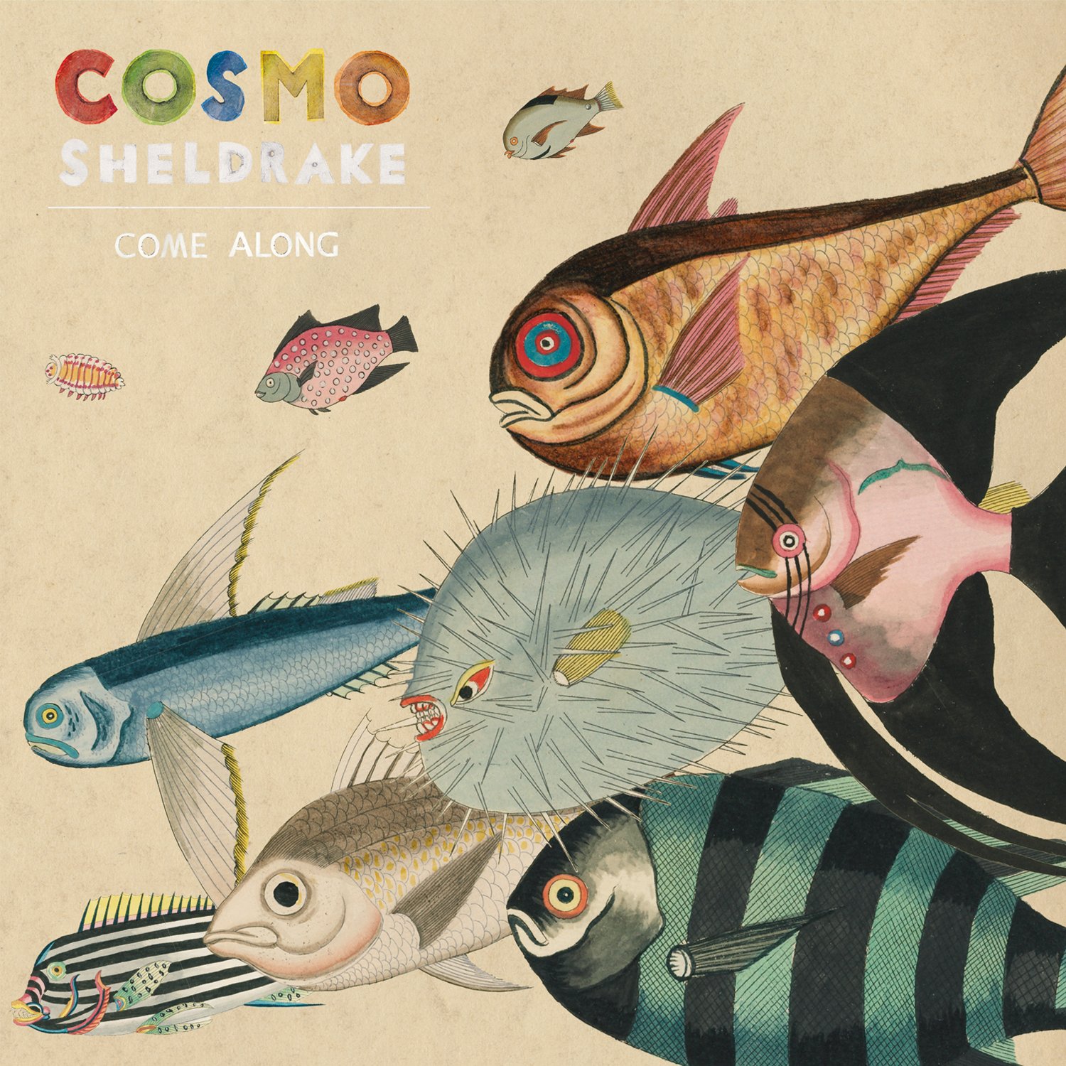 cosmo sheldrake come along single