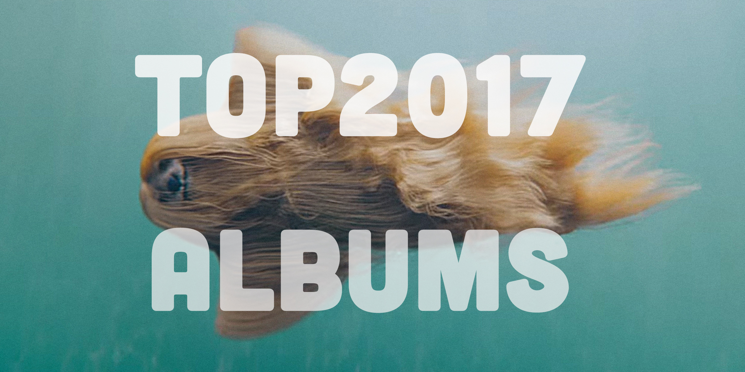 top 2017 albums