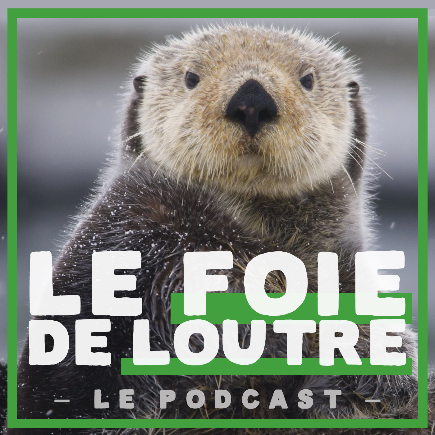 le podcast du foie de loutre