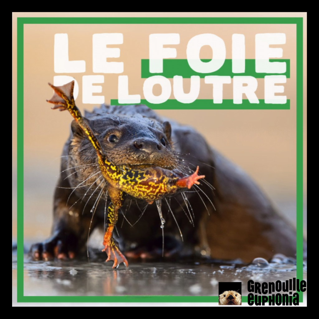 le foie de loutre sur radio grenouille